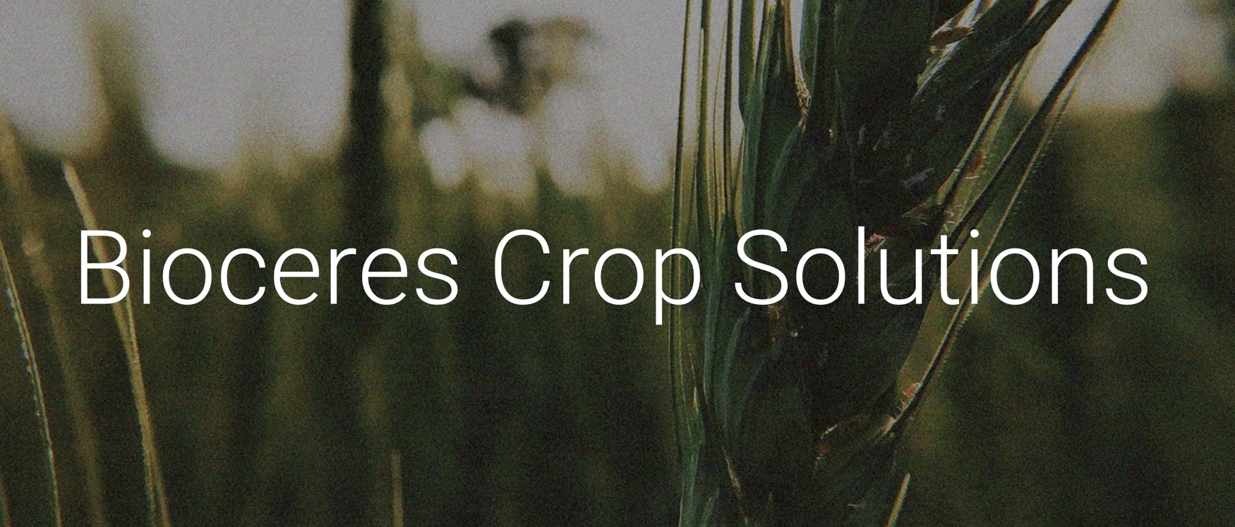 Bioceres reports sharp revenue and profit declines in 2025 fiscal year amid Argentina’s downturn