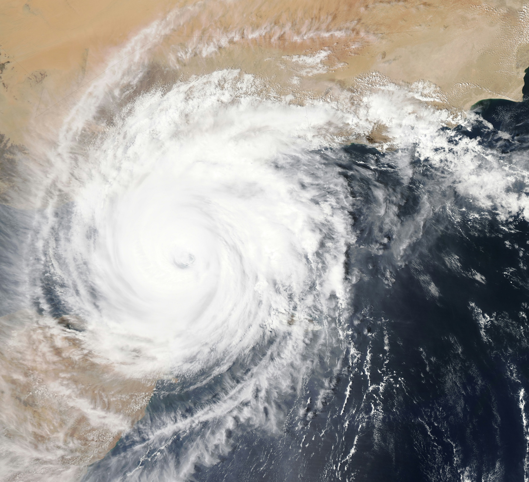 USDA allocates $221 million to North Carolina farmers hit by Hurricane Helene