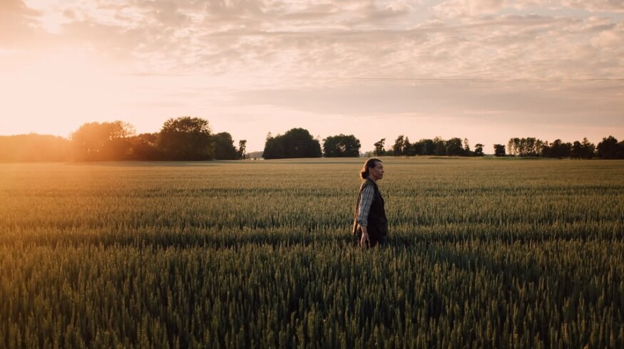 Spendrups and Lantmännen widen climate-focused cultivation deal