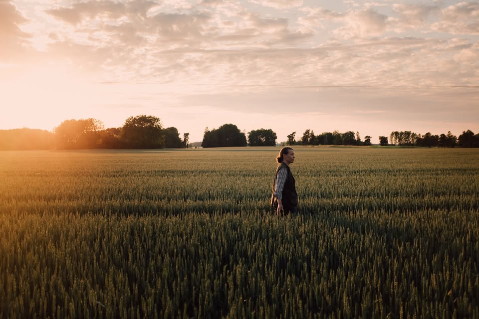 Spendrups and Lantmännen widen climate-focused cultivation deal