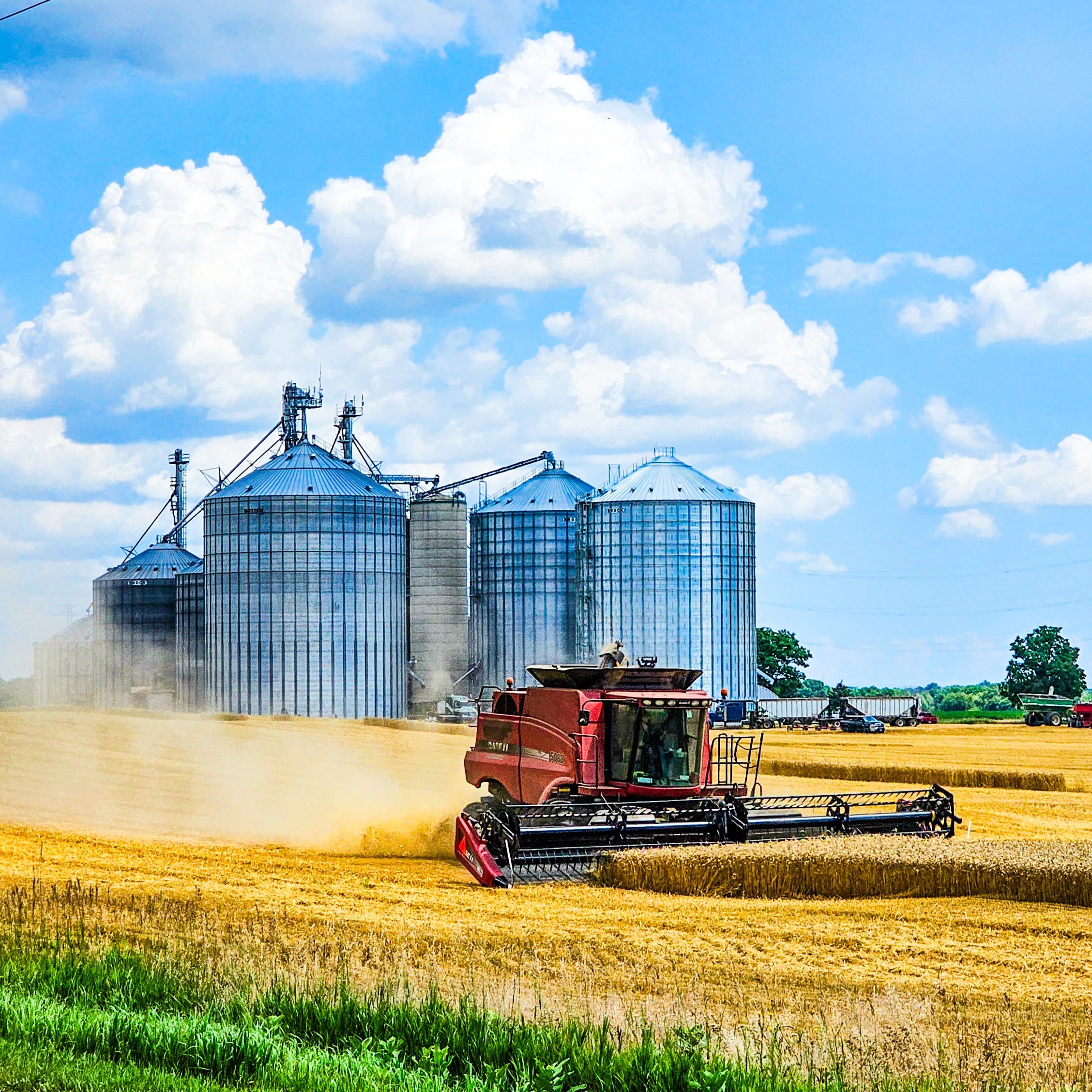 CHS distributes lowest profit share since 2021 amid farm and energy headwinds