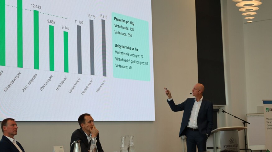 DLF strengthens core business and reports solid annual results