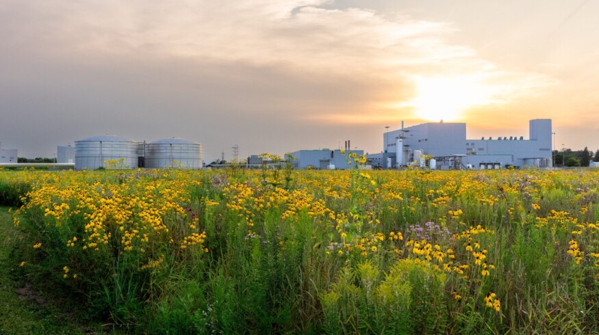 Sumitomo Chemical to merge Valent BioSciences, MGK and Valent North America into new global biorational business