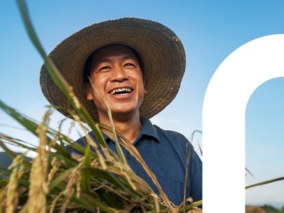 BASF and Nissan form partnership to bring new insecticide to Japanese rice growers