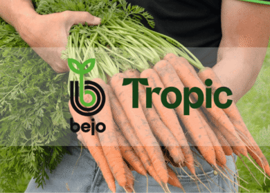 Bejo and Tropic Biosciences form alliance to develop disease-resistant carrots