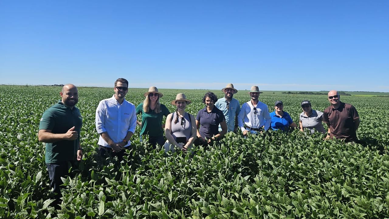 PepsiCo and Griffith Foods launch regenerative agriculture financing model in Brazil