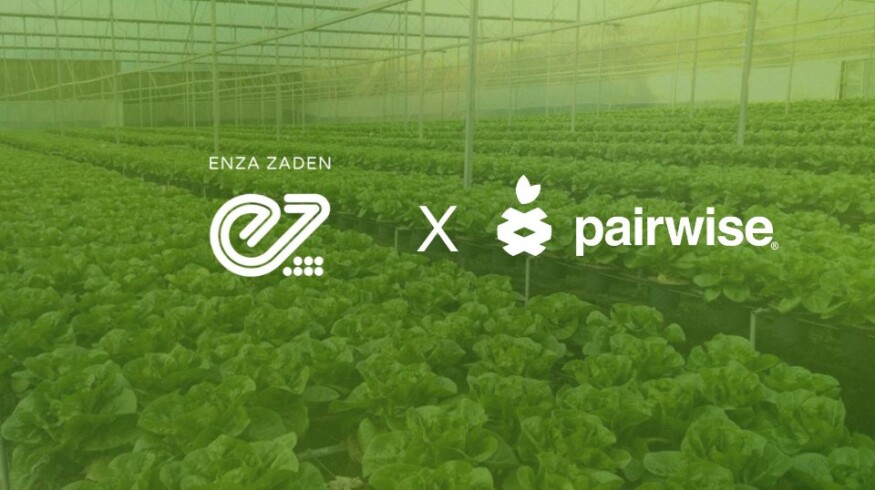 Enza Zaden licenses Pairwise gene-editing platform to accelerate vegetable breeding