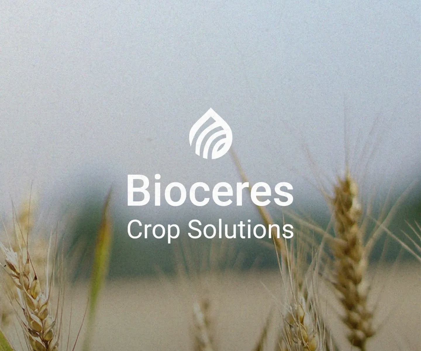 Bioceres reports lower quarterly revenue and net loss of $7.5 million in First fiscal Quarter of 2026