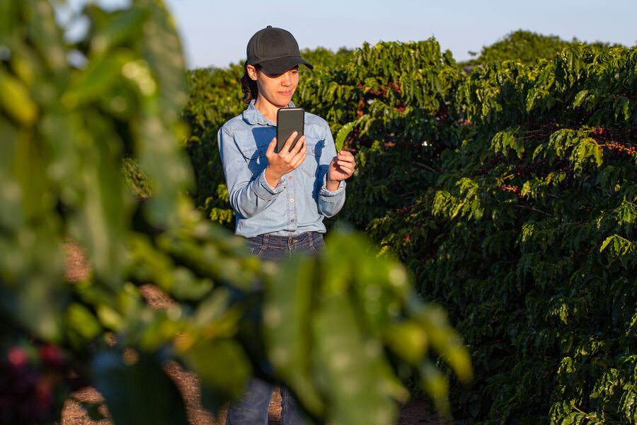 Syngenta opens Cropwise platform to external developers allowing to use its agronomic models and AI