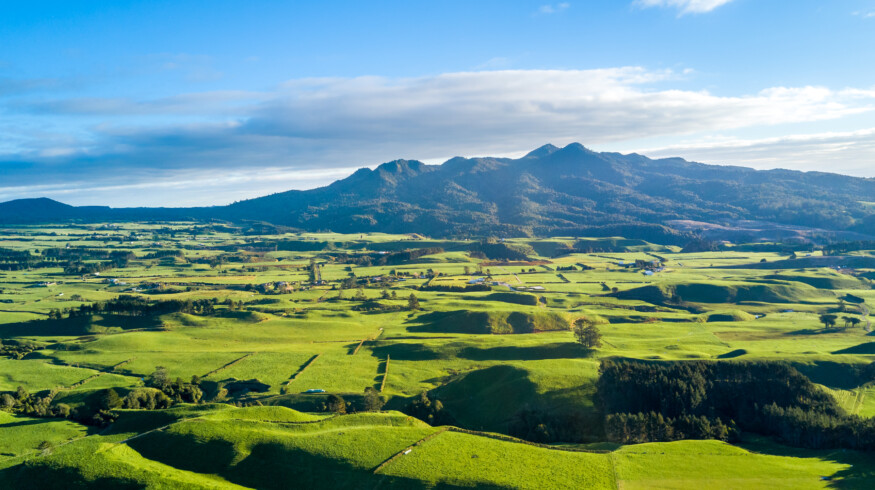 Ballance and Yara to pilot low-carbon fertilizer range in New Zealand