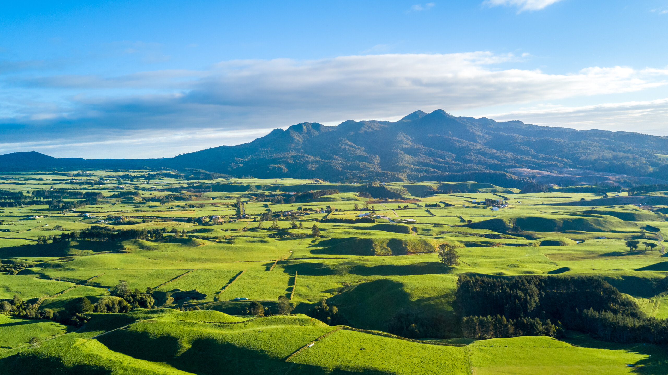 Ballance and Yara to pilot low-carbon fertilizer range in New Zealand