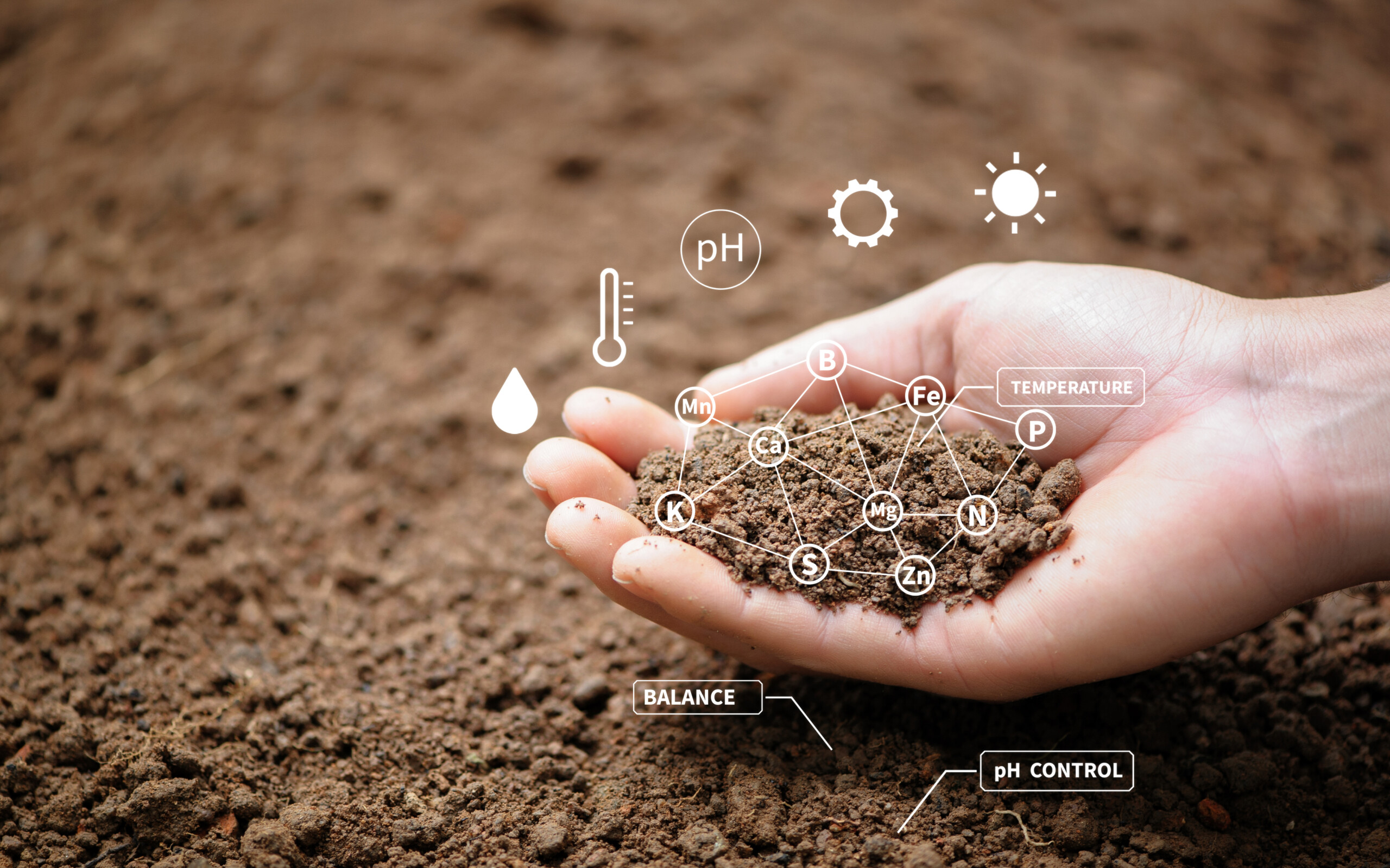 Chemical balance proves crucial to healthy soil systems