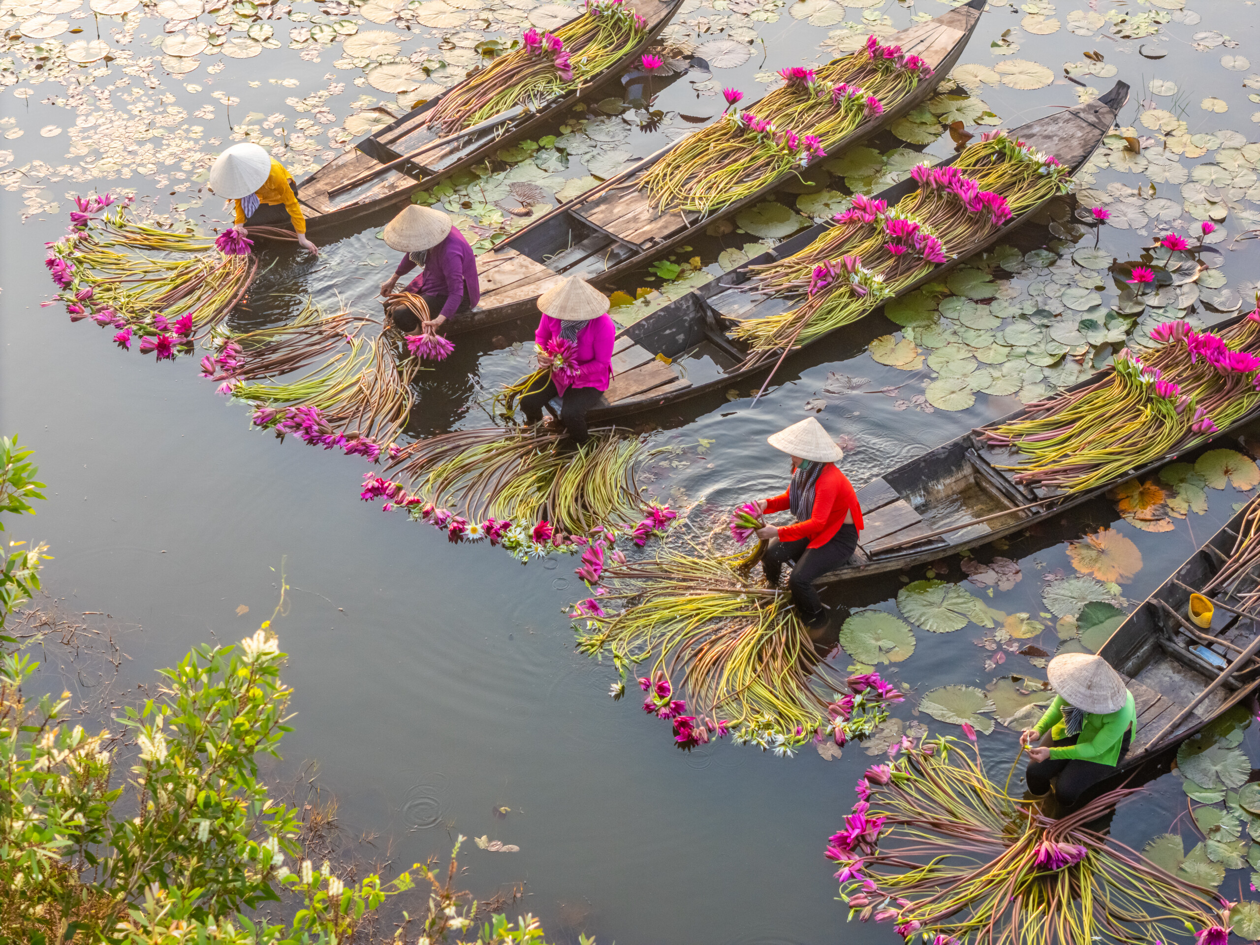 Uralchem introduces nutrition systems for tropical crops in Vietnam