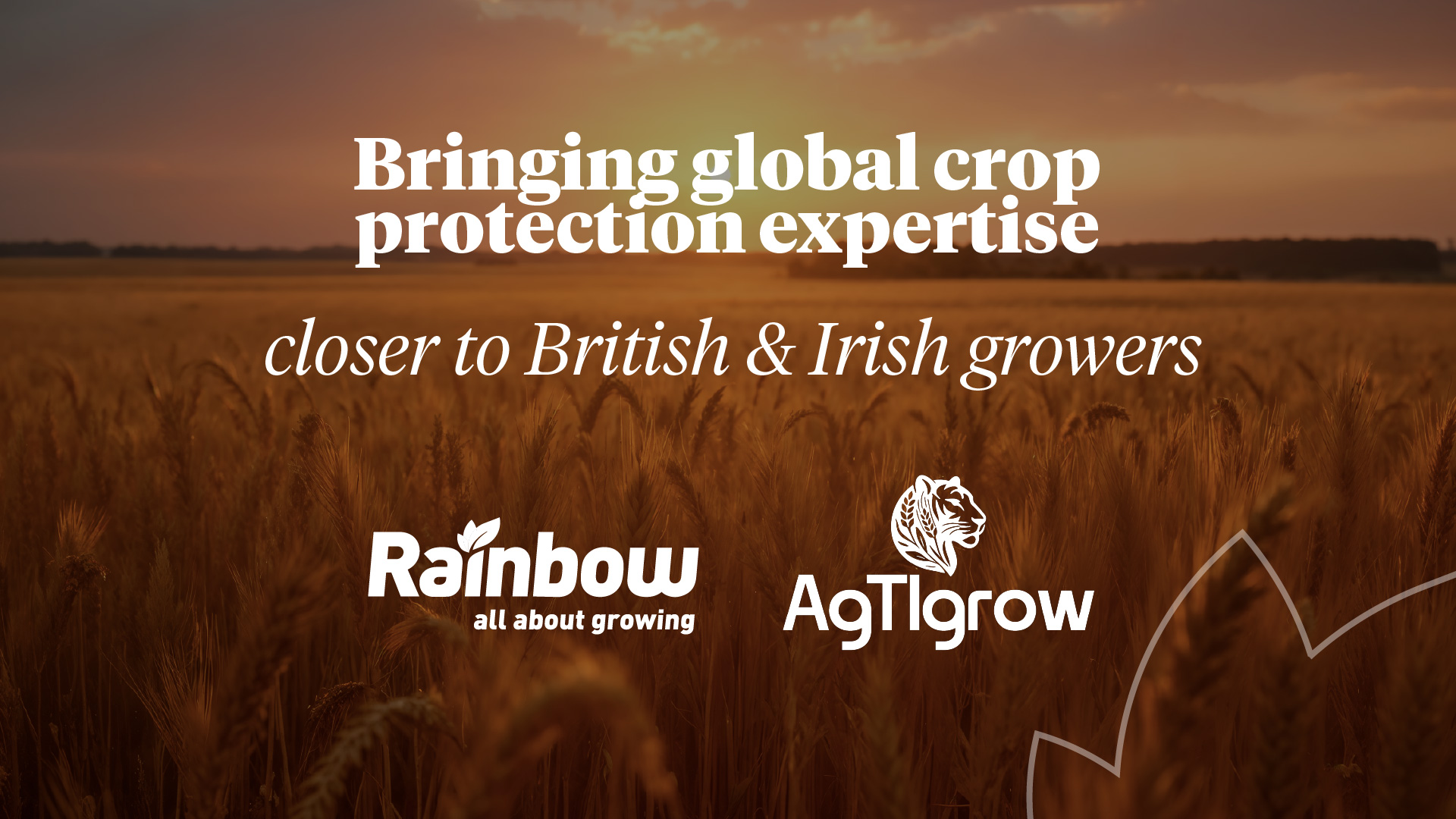 Rainbow Agro enters UK and Ireland through partnership with AgTIgrow