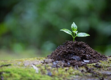 Ancient Organics patents microbial solution to detoxify glyphosate