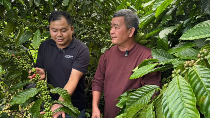 Orbia Netafim and partners roll out climate-smart insurance for Vietnamese coffee farmers