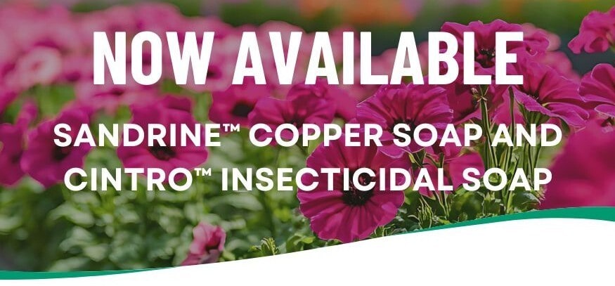 BioWorks adds copper fungicide and insecticidal soap to crop protection portfolio