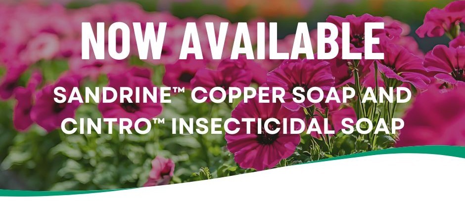 BioWorks adds copper fungicide and insecticidal soap to crop protection portfolio