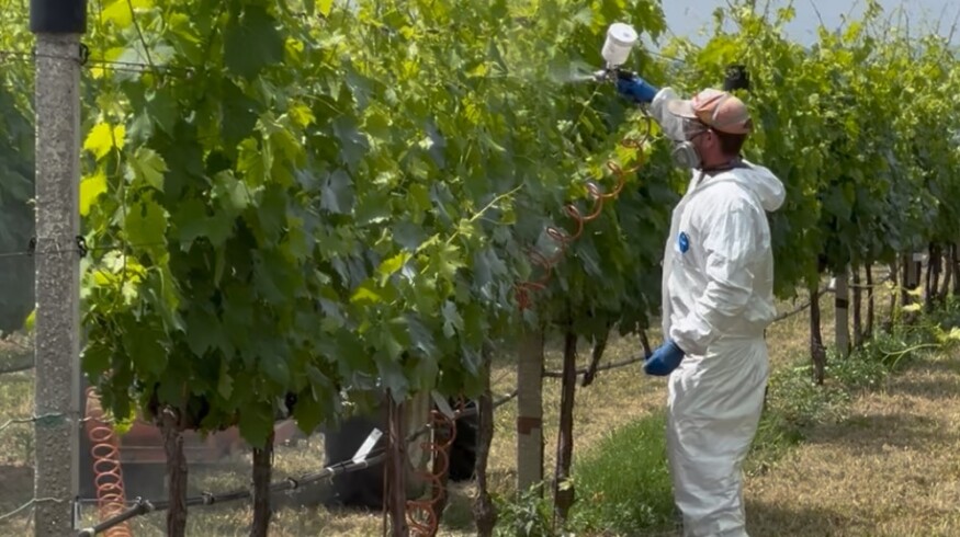 Israeli researchers aim to halve pesticide use with a new coating technology
